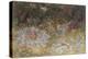 Fairy Rings and Toadstools, 1875-Richard Doyle-Premier Image Canvas