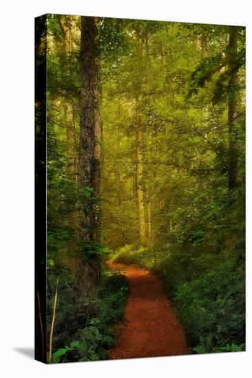 Fairytale Path-Natalie Mikaels-Premier Image Canvas