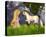 Fairytale Princess & Unicorn-null-Stretched Canvas