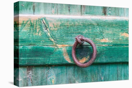 Faiyum, Egypt. Iron ring on a green painted wooden gate.-Emily Wilson-Premier Image Canvas