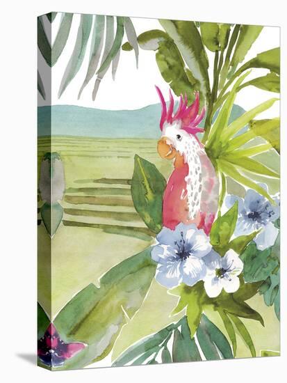 Fajardo Parrot-Sandra Jacobs-Stretched Canvas