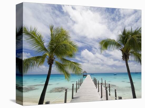 Fakarawa, Tuamotu Archipelago, French Polynesia Islands-Sergio Pitamitz-Premier Image Canvas