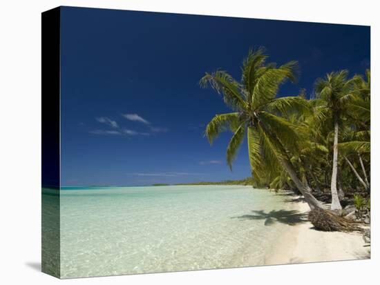 Fakarawa, Tuamotu Archipelago, French Polynesia, Pacific Islands, Pacific-Sergio Pitamitz-Premier Image Canvas
