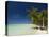 Fakarawa, Tuamotu Archipelago, French Polynesia, Pacific Islands, Pacific-Sergio Pitamitz-Premier Image Canvas