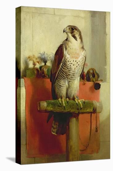 Falcon, 1837-Edwin Henry Landseer-Premier Image Canvas