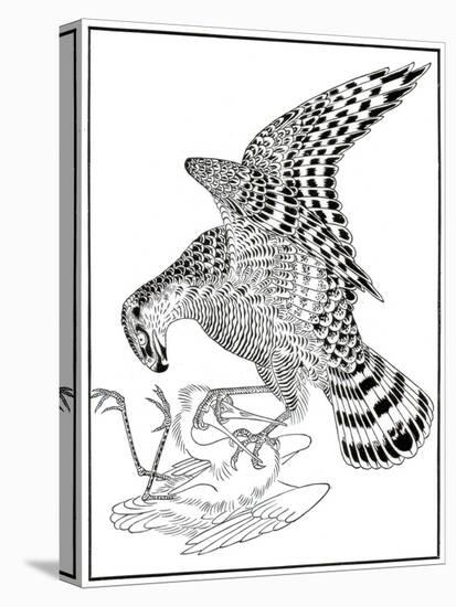 Falcon and Egret, 16th Century-Soga Chokuna-Premier Image Canvas