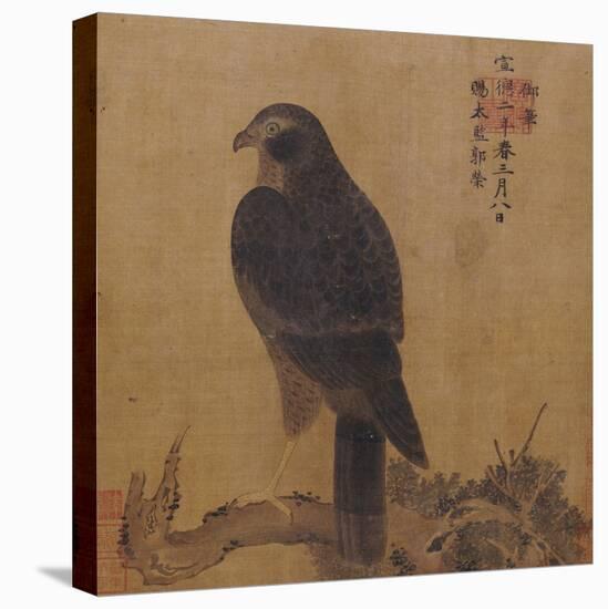 Falcon on a Pine Limb, Emperor Xuande, circa 1426-1435-null-Premier Image Canvas