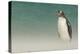 Falkland Islands, Bleaker Island. Gentoo Penguin on the Beach-Cathy & Gordon Illg-Premier Image Canvas