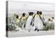 Falkland Islands, South Atlantic. Group of King Penguins on Beach-Martin Zwick-Premier Image Canvas