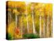 Fall Aspen Trees along Highway 2, Washington, USA-Janell Davidson-Premier Image Canvas