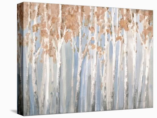 Fall Birches-Danhui Nai-Stretched Canvas