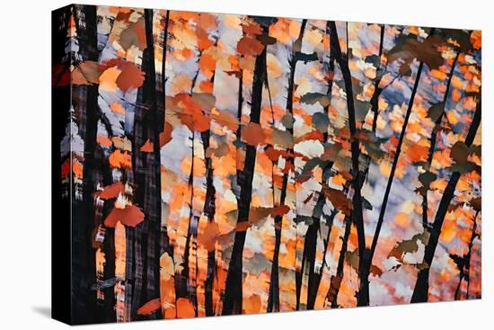 Fall Branches 1-Ursula Abresch-Premier Image Canvas