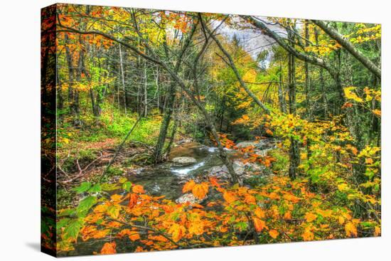 Fall Brook Orange Foliage-Robert Goldwitz-Premier Image Canvas