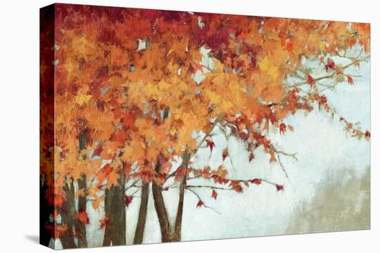 Fall Canopy I-Andrew Michaels-Stretched Canvas