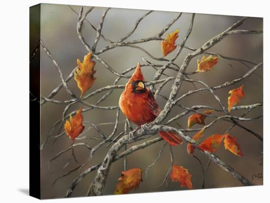 Fall Cardinal-Sarah Davis-Premier Image Canvas