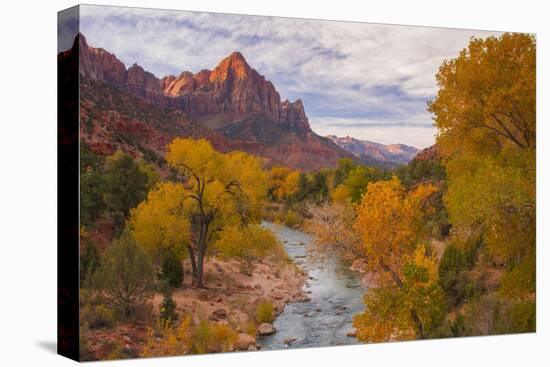 Fall Classic at The Watchman, Zion National Park-null-Premier Image Canvas