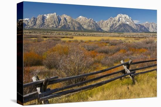 Fall Color, Buck and Rail Fence, Grand Tetons, Grand Teton National Park, Wyoming-Michel Hersen-Premier Image Canvas