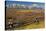 Fall Color, Buck and Rail Fence, Grand Tetons, Grand Teton National Park, Wyoming-Michel Hersen-Premier Image Canvas