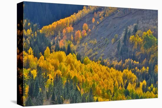 Fall Color Comes to Colorado Along Hwy 145 South of Telluride, Colorado-Ray Mathis-Premier Image Canvas