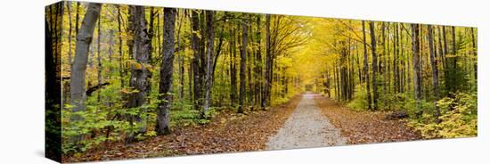 Fall Color Hiawatha National Forest Road Alger County in the Upper Peninsula, Michigan-Richard and Susan Day-Premier Image Canvas