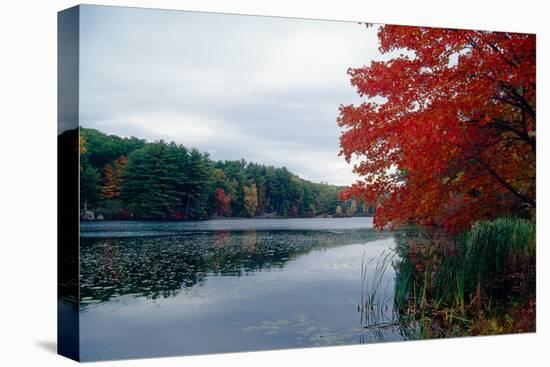 Fall Color in Harriman State Park, New York-George Oze-Premier Image Canvas