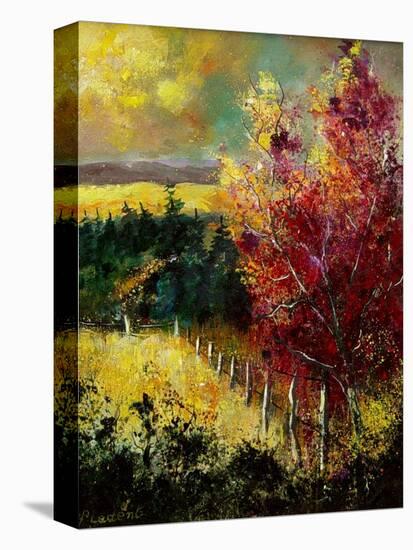 Fall colors 2 45-Pol Ledent-Stretched Canvas