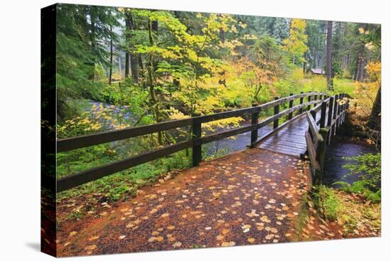 Fall Colors Add Beauty to South Trail at Silver Falls State Park, Oregon, USA-Craig Tuttle-Premier Image Canvas