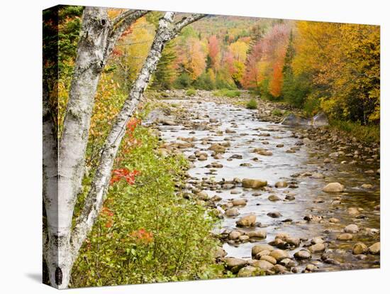 Fall Colors Along the Swift River in Maine's Northern Forest, Byron, Maine, Usa-Jerry & Marcy Monkman-Premier Image Canvas