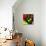 Fall Colors II-Monika Burkhart-Premier Image Canvas displayed on a wall