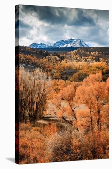 Fall Colors in Colorado-Belinda Shi-Premier Image Canvas