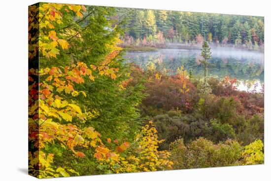 Fall Colors in the Bog Surrounding Round Pond in Barrington, New Hampshire-Jerry and Marcy Monkman-Premier Image Canvas