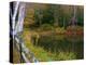 Fall Colors in the Galton Pond, Gralton, Vermont, USA-Joe Restuccia III-Premier Image Canvas
