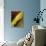 Fall Colors IV-Monika Burkhart-Premier Image Canvas displayed on a wall