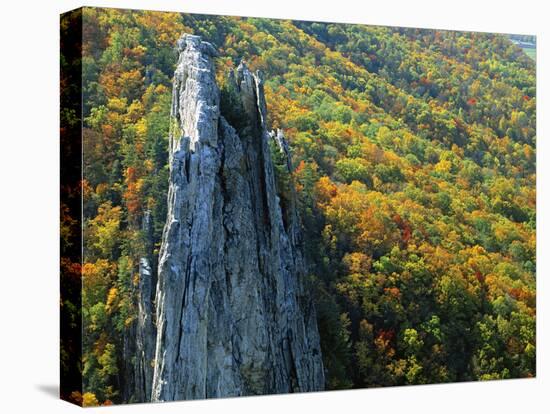 Fall Colors, Monongahela National Forest West Virginia, USA-Charles Gurche-Premier Image Canvas