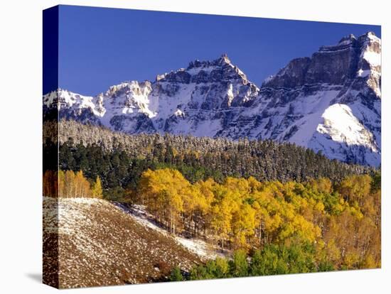 Fall Colors on Aspen Trees, Maroon Bells, Snowmass Wilderness, Colorado, USA-Gavriel Jecan-Premier Image Canvas