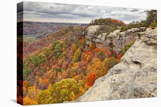 Fall colors, Red River Gorge, Kentucky-Adam Jones-Premier Image Canvas