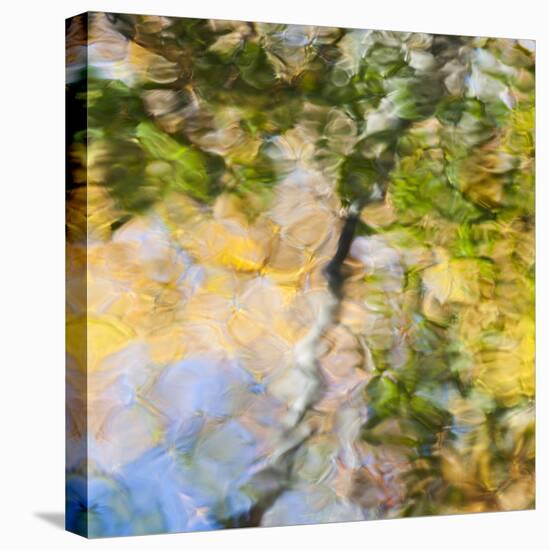 Fall colors reflect in the rippled waters of a pond, looking like a painting.-Brenda Tharp-Premier Image Canvas