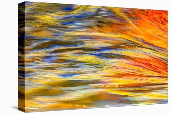 Fall colors reflected in motion blurred view of the Lower Deschutes River, Central Oregon, USA-Stuart Westmorland-Premier Image Canvas