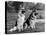 Fall, Crufts, 2 Champions-Thomas Fall-Premier Image Canvas