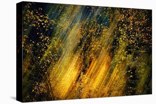 Fall Fantasy 2-Ursula Abresch-Premier Image Canvas