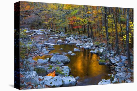 Fall Foliage Along Little River, Smoky Mountains NP, Tennessee, USA-Joanne Wells-Premier Image Canvas