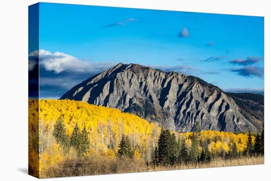 Fall foliage and Aspen trees at their peak, near Crested Butte, Colorado-Howie Garber-Premier Image Canvas