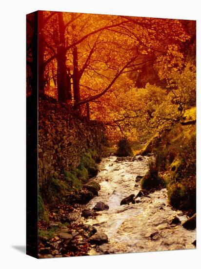 Fall Foliage and Running Stream, Grindsbrook Edale, Peak District, Derbyshire, England, UK-David Hughes-Premier Image Canvas