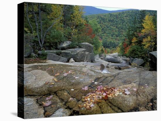 Fall Foliage, Appalachian Trail, White Mountains, New Hampshire, USA-Jerry & Marcy Monkman-Premier Image Canvas