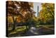Fall Foliage at Central Park, Manhattan, New York, USA-Stefano Politi Markovina-Premier Image Canvas