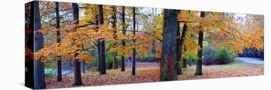 Fall foliage in Eagle Creek Park, Indianapolis, Indiana, USA-Anna Miller-Premier Image Canvas