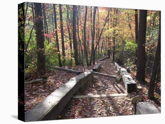 Fall Foliage near Fall Creek Falls State Park, Tennessee, USA-Diane Johnson-Premier Image Canvas