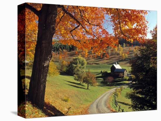 Fall Foliage, Vermont, USA-Gavin Hellier-Premier Image Canvas