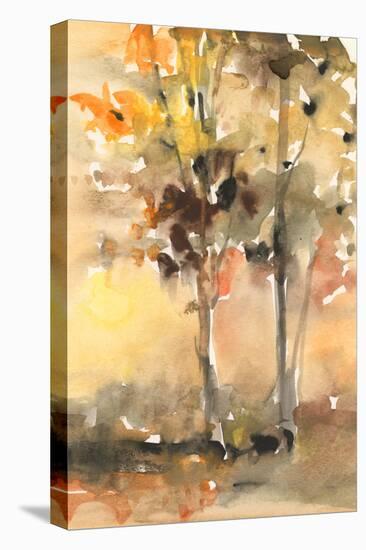 Fall Foliage Watercolor II-Samuel Dixon-Stretched Canvas