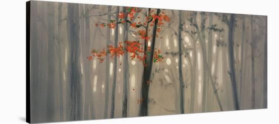 Fall Foliage-Seth Garrett-Stretched Canvas